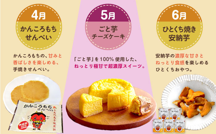 【12回定期便】五島の芋まんきつ定期便 五島市ふるさと納税/五島市 [PZX052]