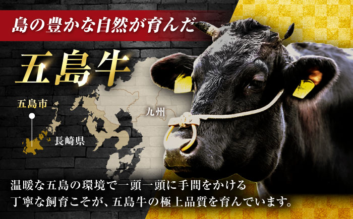 【12回定期便】五島牛 切り落とし 600g（200g×3P）五島市/meat shop FUKU [PHF016]