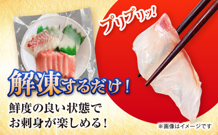 【全12回定期便】漁師の極み刺身パック（粋）1皿 五島市/Sun Sea Go Company 魚 おまかせ お任せ 鮮魚 五島列島 [PGL020]