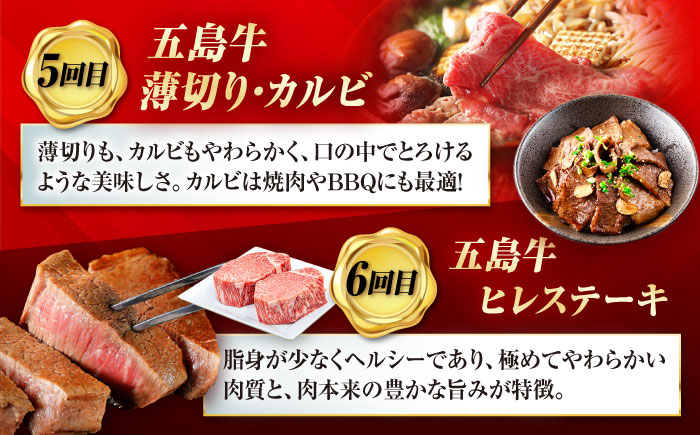 【12回定期便】大満足！五島牛 ファミリー特撰コース 五島市/五島市ふるさと納税 [PZX030]