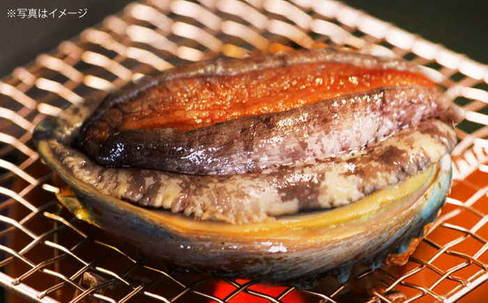 【日付指定必須】五島産養殖 アワビ・バーベキューセット 40個セット 約1200g 五島市/（有）都工業 BBQ あわび 鮑 [PEX008]