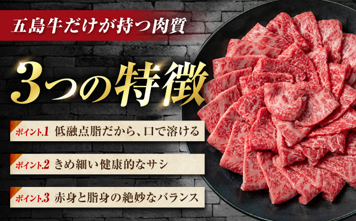 【12回定期便】五島牛 切り落とし 400g（200g×2P）五島市/meat shop FUKU [PHF012]