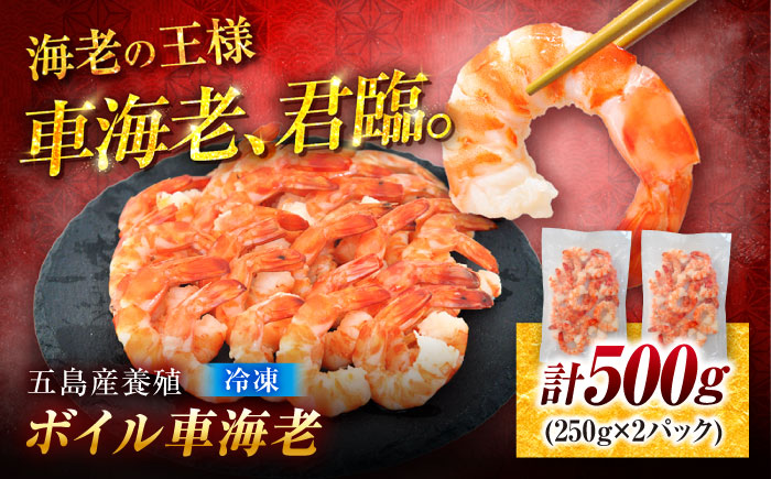 五島特産 ボイル車海老500g（250g×2P） 五島市/拓水 五島事業場[PCU004]車海老エビ 尾付き むきえび