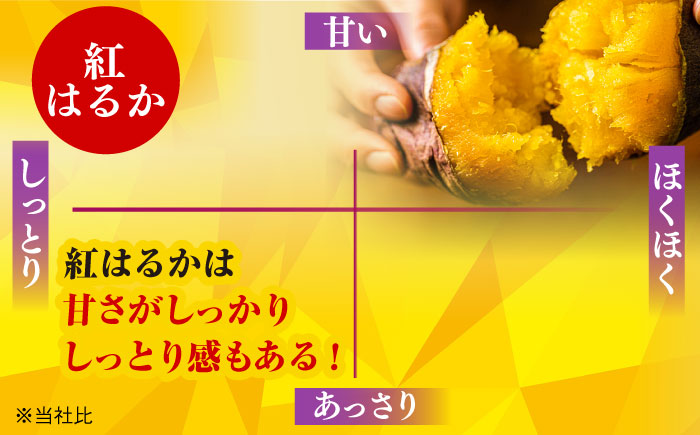 【全6回定期便】焼き芋ごとあかり (紅はるか) 300g×6袋 さつまいも スイーツ 冷凍 野菜 レンジ 五島市/ごと [PBY039]