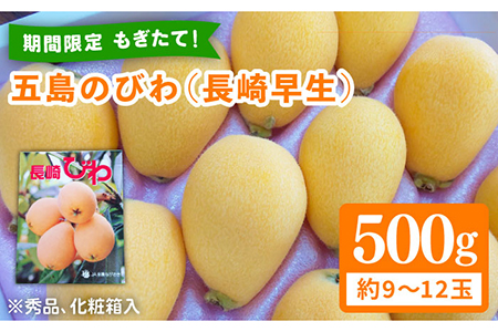 【期間限定】五島のびわ（長崎早生）500g 秀品 化粧箱入 五島市/ごとう農業協同組合 [PEM001]