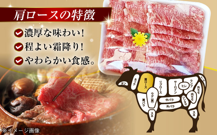 【全6回定期便】極上やみつき五島牛薄切り 800g【肉のマルヒサ】 [PCV021]