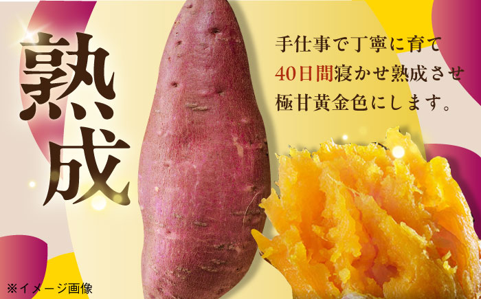 【全12回定期便】通販累計100万袋突破！レンジで簡単 ごと焼きごと芋 300g×4袋 サツマイモ おやつ 小分け さつまいも 芋 五島市/ごと [PBY045]