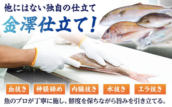【3回定期便】【下処理済】超速冷凍鮮魚6種（5種+焼物用1種） 五島市/金沢鮮魚[PEP065]魚 鮮魚 鮮魚ボックス
