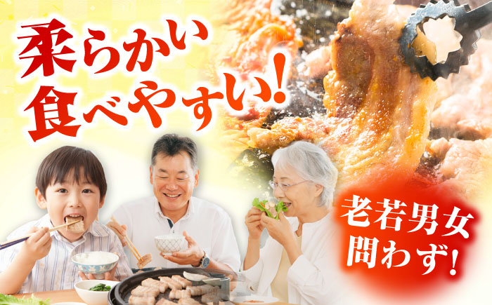 【3回定期便】五島美豚焼肉1kg（ロース500g バラ500g） 五島市/ごとう農業協同組合[PAF007]  焼肉 定期便 焼肉 定期便 焼肉 定期便 焼肉 定期便