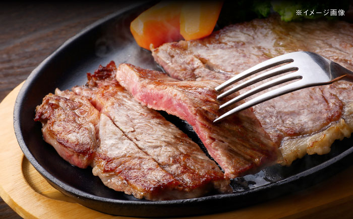 【全3回定期便】五島列島産 黒毛和牛 サーロインステーキ 250g×2枚 五島市/山口Farm [PGJ018]