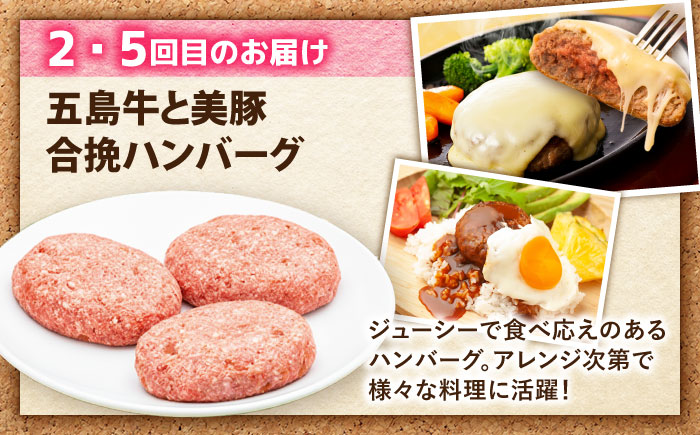 【6回定期便】食卓応援！お届け内容が毎月変わる五島牛定期便 五島市/ごとう農業協同組合 [PAF106]