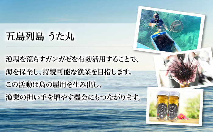 【全12回定期便】厄介うに ガンガゼ塩うに 70g×5本 / ウニ 雲丹 五島市 / うた丸 [PGA008]