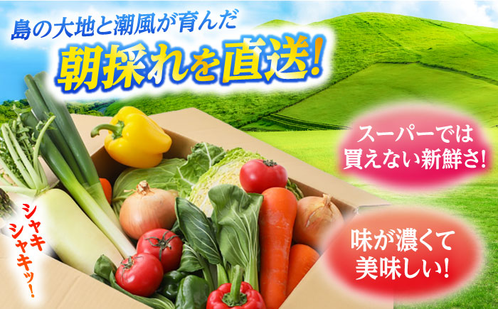 【4回定期便】　旬野菜セット7〜10品目（五島列島産）5kg未満　五島市/やぁしゃ便 [PBG009]