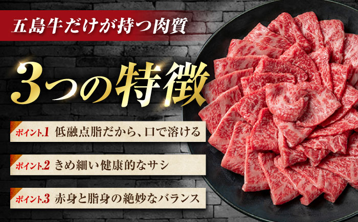 【3回定期便】五島牛 切り落とし 1kg（200g×5P）五島市/meat shop FUKU [PHF018]
