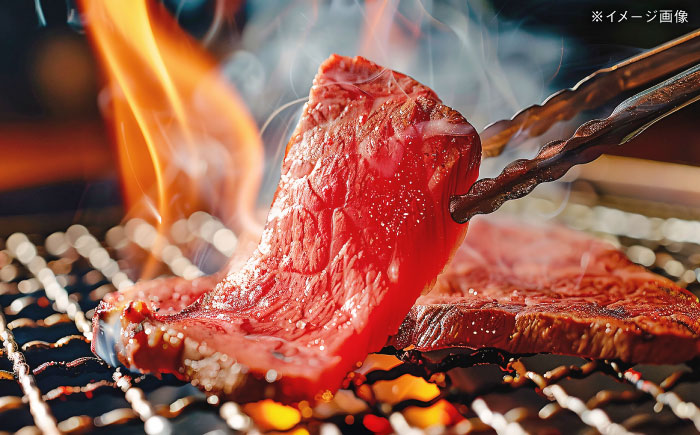 【6回定期便】五島列島産 黒毛和牛 焼肉上カルビ 500g 五島市/山口Farm [PGJ059]