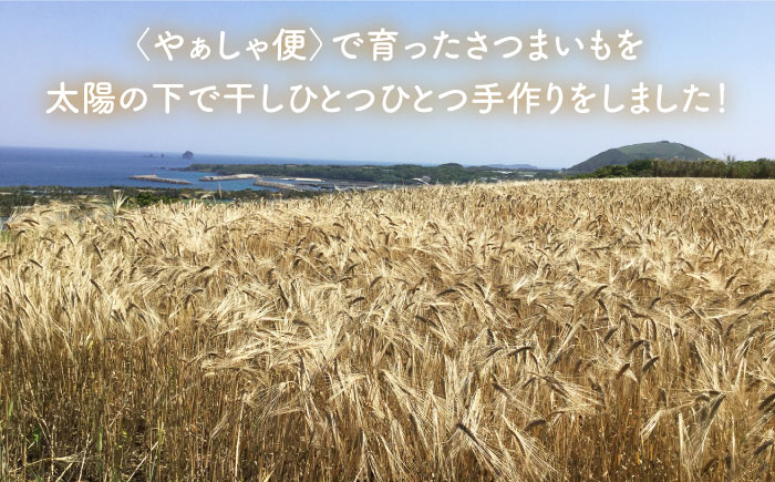 【こだわり農家がつくる五島の伝統和菓子！】かんころ餅 3種セット 計6本 五島市/やぁしゃ便 [PBG005]