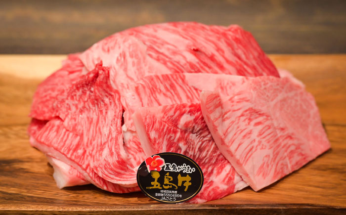 【12回定期便】五島牛 牛すじ1kg（500g×2P）五島市/meat shop FUKU [PHF008]