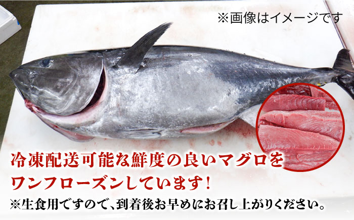 長崎県五島産 近大マグロ （中トロ）刺身ブロック 五島市/五島ヤマフ[PAK018] 