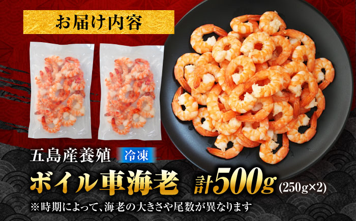 五島特産 ボイル車海老500g（250g×2P） 五島市/拓水 五島事業場[PCU004]車海老エビ 尾付き むきえび