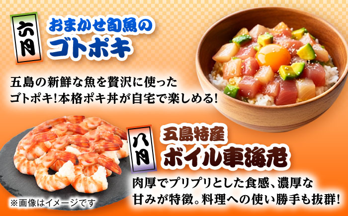 【6回定期便】五島のお魚！満喫定期便（4人前）/五島市 [PZX055]