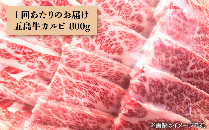 【全12回定期便】やみつき五島牛カルビ 800g【肉のマルヒサ】 [PCV033]