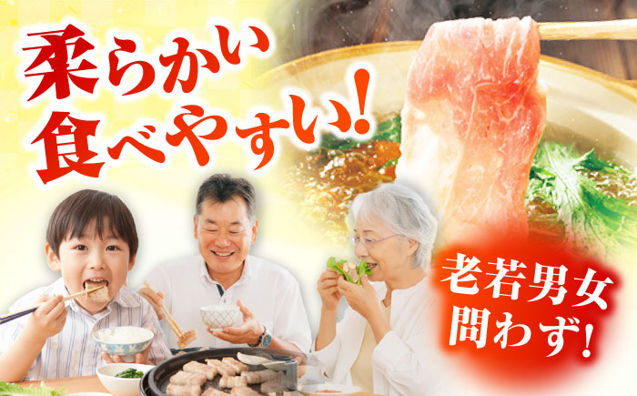 【12回定期便】五島美豚 薄切り2kg (ロース1kg/バラ1kg) 五島市/ごとう農業協同組合 [PAF060]