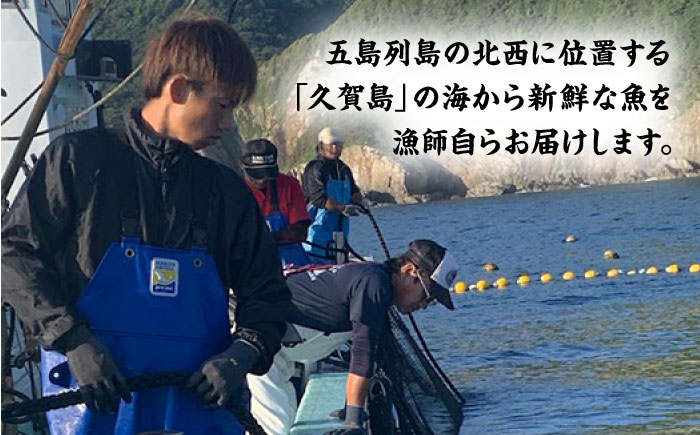 【季節ごとに旬の鮮魚を切り身でお届け】五島産高級鮮魚セット 3~4kg加工済み【マルセイ水産】[PBT001]