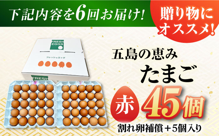 【全6回定期便】【お得な箱入り】五島の恵みたまご M〜Lサイズ 45個入 / 卵 赤玉子 五島市 / 五島列島大石養鶏場 [PFQ049]