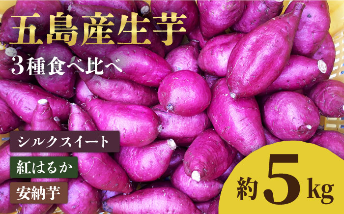 【2025年1月先行予約】五島産生芋5kg 安納芋 シルクスイート 紅はるか 五島市/芋蔵林 [PDO007]