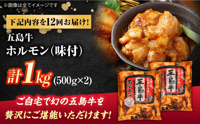 【12回定期便】幻の五島牛ホルモン 1kg 味付き 五島市/ごとう農業協同組合 [PAF090]