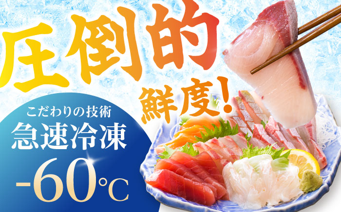 【3回定期便】【下処理済】超速冷凍鮮魚7種（5種+焼物用2種）五島市/金沢鮮魚[PEP069]