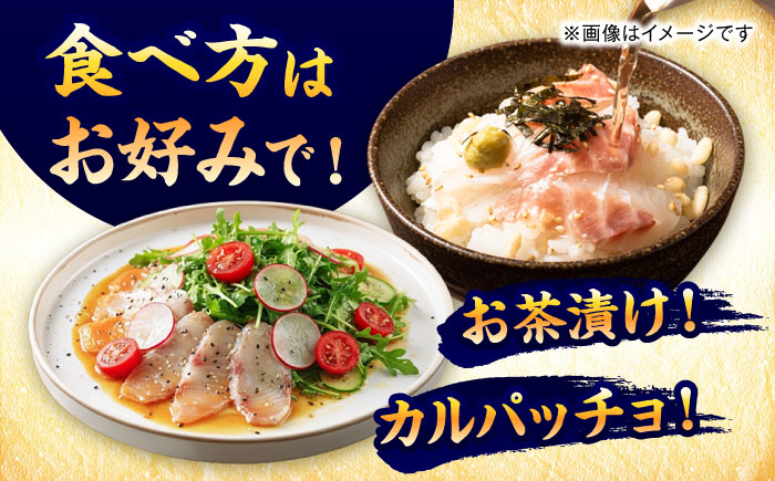 【12回定期便】漁師の極み刺身パック（匠）1皿 五島市/Sun Sea Go Company 魚 おまかせ お任せ 鮮魚 五島列島 [PGL024]