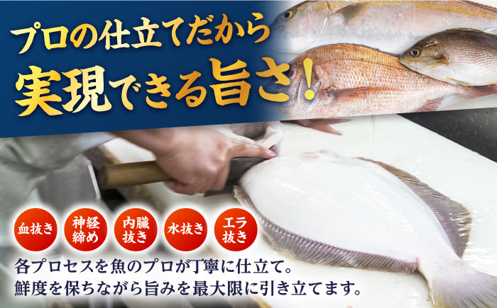 【冷蔵】【下処理済】鮮魚ボックス（魚2種/アオリイカ/魚醤油1種） 五島市/金沢鮮魚[PEP002]  冷蔵 真空パック 新鮮 下処理済み 海鮮 刺身 セット 水いか金澤仕立て  鮮魚 冷蔵 真空パック 新鮮 下処理済み 海鮮 刺身 セット 水いか