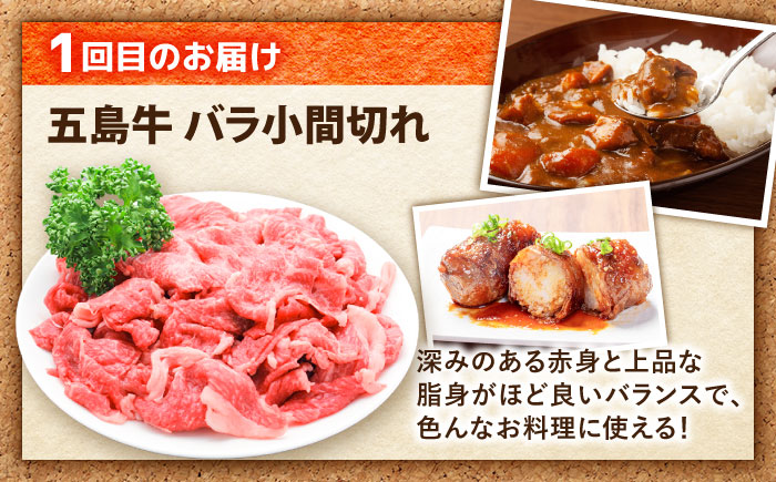 【3回定期便】食卓応援！お届け内容が毎月変わる五島牛定期便 五島市/ごとう農業協同組合 [PAF105]