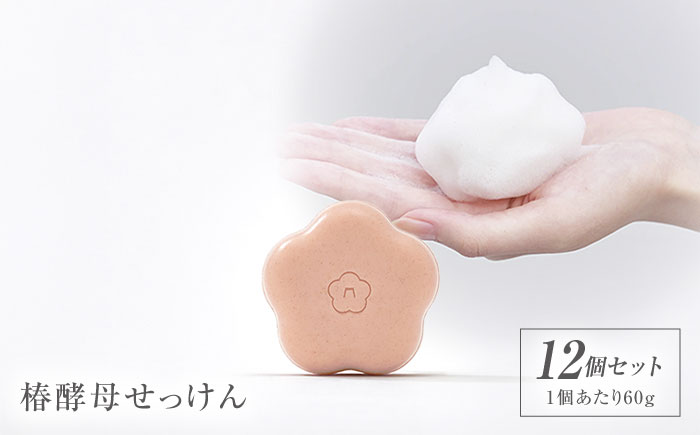 椿酵母せっけん 60g・12個セット 五島市/五島の椿 [PEG018]
