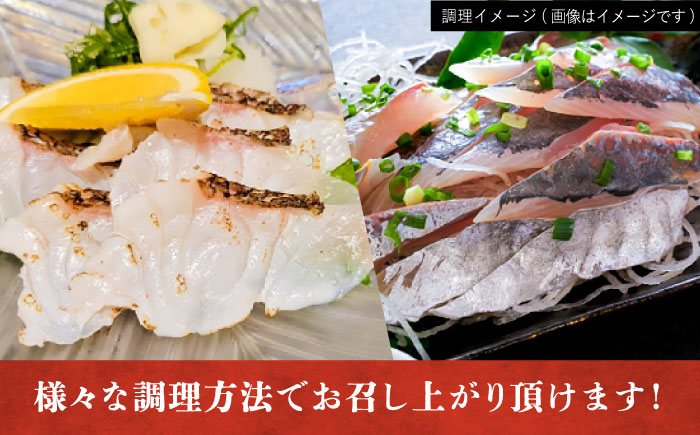 【五島列島直送】朝獲れ鮮魚セット4kg　鯛福丸水産/五島市[PDP011]   魚 鮮魚 セット 海鮮 直送 さかな 詰合せ 冷蔵