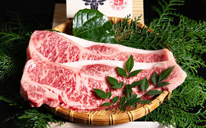 五島列島産 黒毛和牛 サーロインステーキ 250g×2枚 五島市/山口Farm [PGJ017]