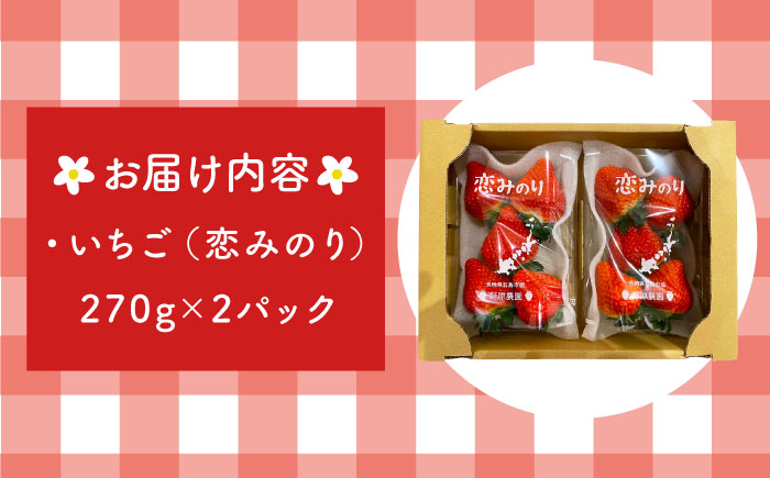 【五島特選！農家直送】ピチピチいちご 恋みのり 計540g （270g×2パック） 五島市/野原農園 [PCM004]