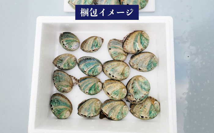 【日付指定必須】五島産養殖 アワビ・バーベキューセット 30個セット 約750g 五島市/（有）都工業 BBQ あわび 鮑 [PEX007]