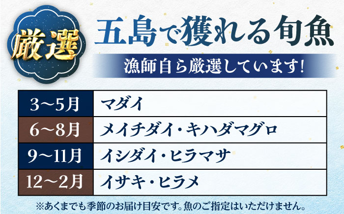 【五島列島産】高級朝獲れ鮮魚 約3kg（真空パック/下処理済） 五島市/マルセイ水産[PBT001]  刺身 五島 久賀島 海鮮 セット 旬 さかな さしみ 