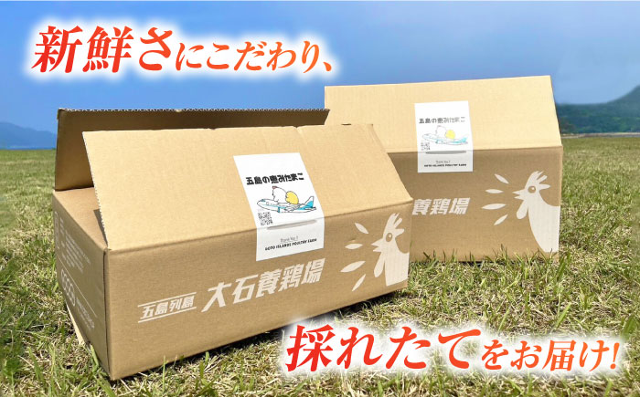 【全10回定期便】【お得な箱入り】五島の恵みたまご Lサイズ 75個入 / 卵 赤玉子五島市 / 五島列島大石養鶏場 [PFQ019]