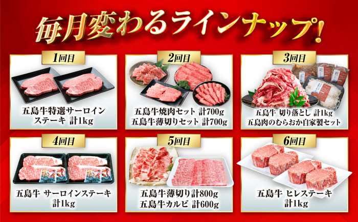 【6回定期便】大満足！五島牛 ファミリー特撰コース 五島市/五島市ふるさと納税 [PZX029]