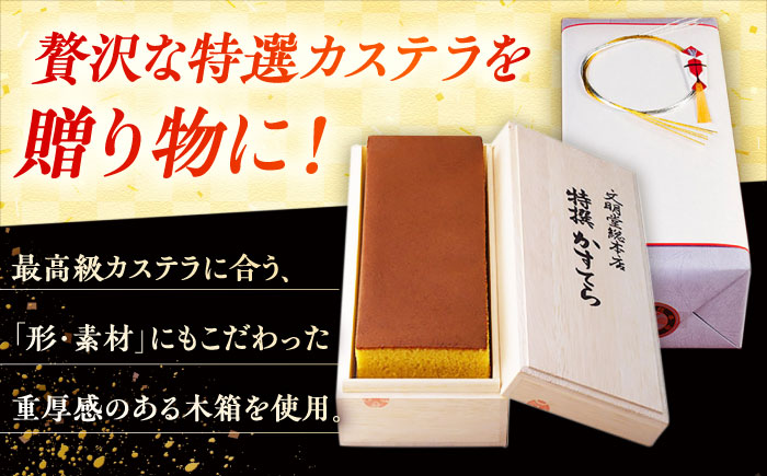 特撰カステラ 1号 長崎 土産 ギフト 五島市/文明堂総本店 [PEO021]