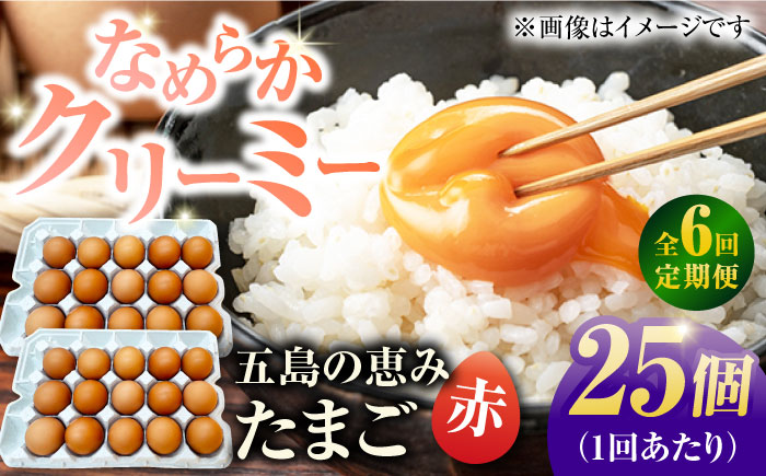 【6回定期便】【お得な箱入り】五島の恵みたまご M〜Lサイズ 25個入 / 卵 赤玉子 五島市 / 五島列島大石養鶏場 [PFQ046]