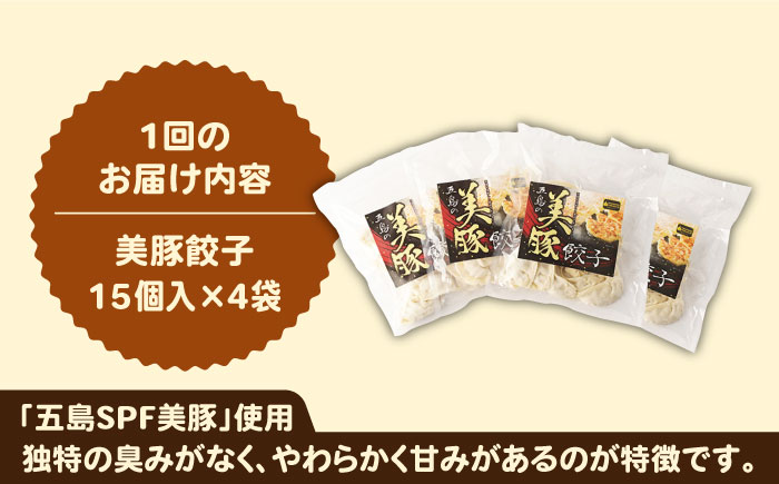 【全12回定期便】美豚ちゃんと餃子のバラエティセット（3種×4袋 計12袋詰合せ）【長崎フードサービス】 [PEL036]