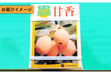 【数量限定】もぎたて！五島のびわ（甘香）化粧箱入 秀品 1kg【ごとう農業協同組合】[PEM002]