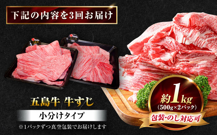 【3回定期便】五島牛 牛すじ1kg（500g×2P）五島市/meat shop FUKU [PHF006]