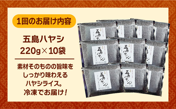 【全6回定期便】【五島牛と五島産の食材を使用したレトルト商品】こだわりの五島ハヤシ10袋セット【出口さんご】 [PBK020]