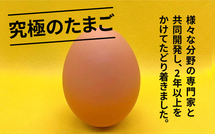 【黄身がつかめる！ブランド卵】TOCO-tori EGG ギフトBOX 卵 9個入り 高級卵 たまご 五島市 / 五島列島大石養鶏場 [PFQ001]
