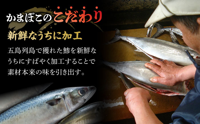 【全6回定期便】五島列島 ほぐし生節とかまぼこセット【テル鮮魚】 [PAW014]